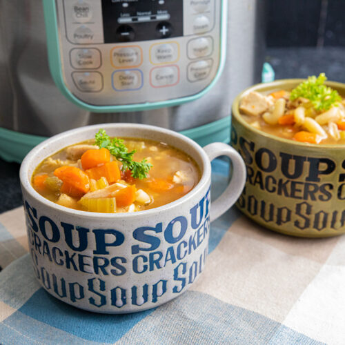 Instant Pot Chicken Noodle Soup